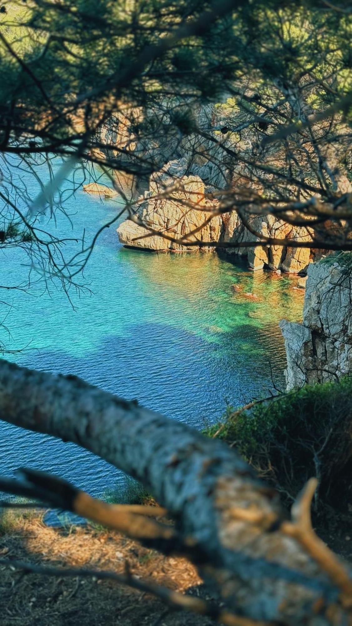 Can Romy Appartement T1 C - A 80M De La Plage De Cala Montgo L' Escala المظهر الخارجي الصورة